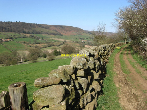 Photo 6"x4" Farndale near Ewecote Farm Lowna c2012