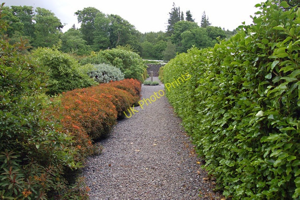 Photo 6"x4" Dunvegan Castle Gardens Garrachan c2008