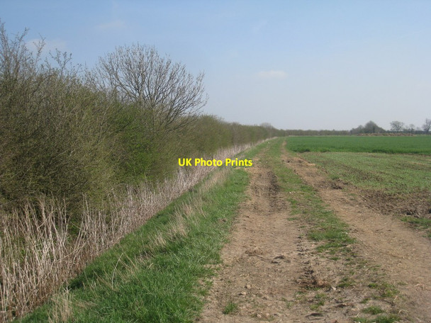 Photo 6"x4" Farm track alongside a beck Corringham\/SK8791 c2012