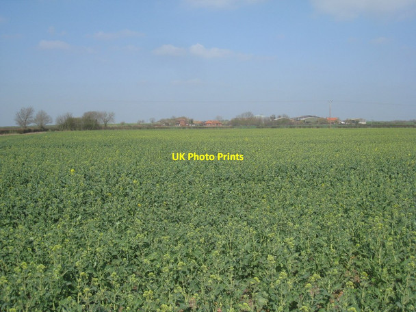 Photo 6"x4" View towards Bonsdale Farm Aisby\/SK8792 c2012