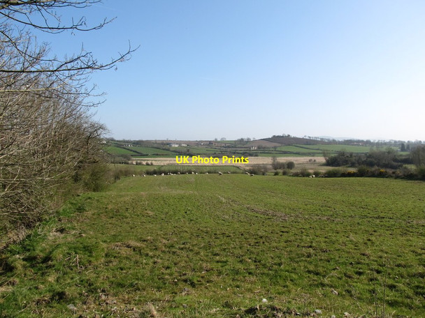 Photo 6"x4" Pasture land and inter-drumlin wetland north of Millvale Road Annaclone c2012