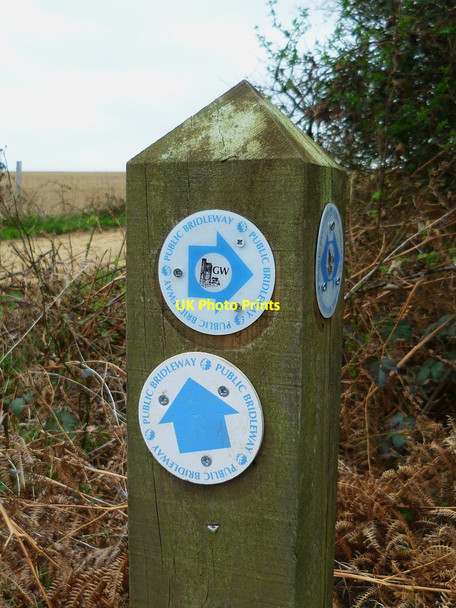 Photo 6"x4" New waymark on the Greensand Way in Surrey Hambledon\/SU9638 c2012