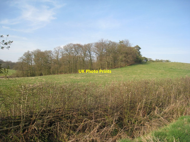 Photo 6"x4" Moors Plantation South Willingham c2012
