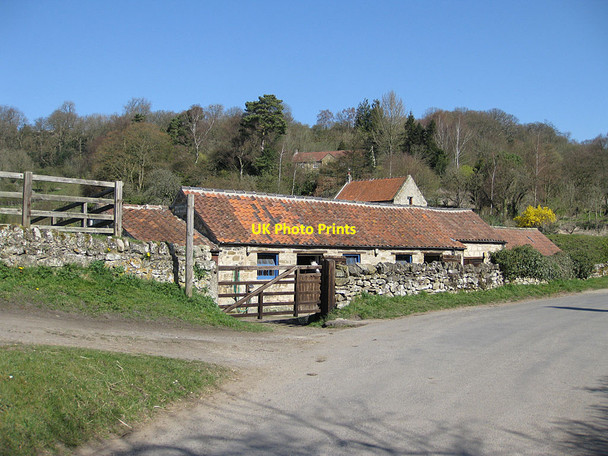 Photo 6"x4" Start of a footpath to Bow Bridge Rievaulx c2012