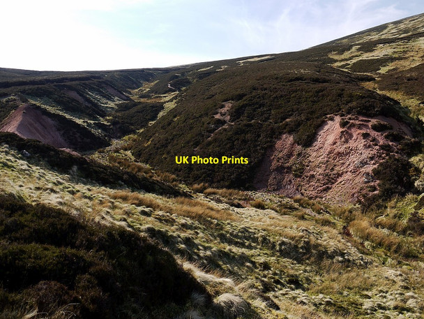 Photo 6"x4" Pink igneous rock outcrop by upper Harthope Burn Cairn Hill\/NT9019 c2012