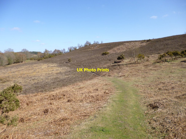 Photo 6"x4" Ibsley Common, footpath Furze Hill\/SU1711 c2012