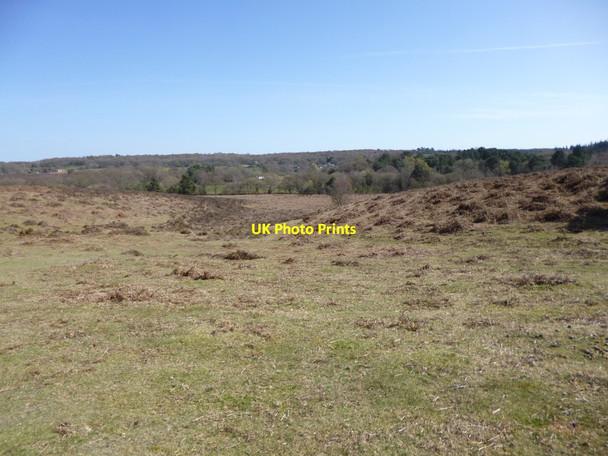 Photo 6"x4" Ibsley Common Linwood\/SU1809 c2012