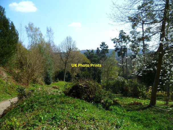 Photo 6"x4" View from bridleway north of Hascombe Hascombe c2012