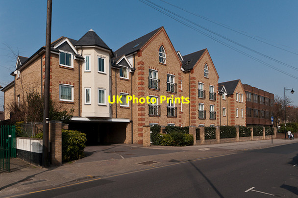 Photo 6"x4" Precista Court Orpington c2012