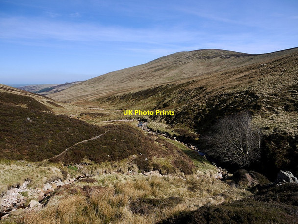 Photo 6"x4" Harthope Burn at junction with unnamed stream Cairn Hill\/NT9019 c2012