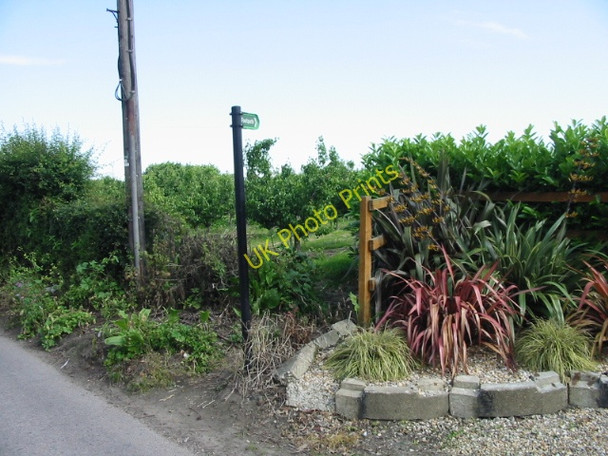 Photo 6"x4" Footpath to Marshborough Gore\/TR3055 c2008