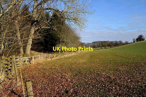 Photo 6"x4" Farmland at Whinfield Elliston\/NT5628 c2012
