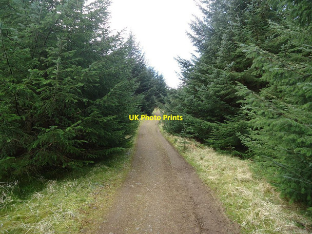 Photo 6"x4" Meikle Bin, track Bin Bairn c2012