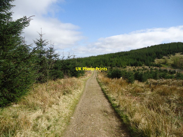 Photo 6"x4" Meikle Bin, track [4] Bin Bairn c2012