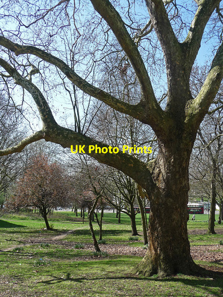 Photo 6"x4" Plane, Danebury Avenue Barnes c2012