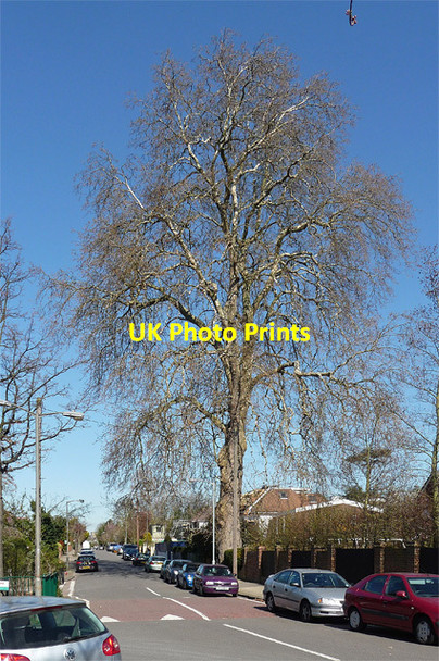 Photo 6"x4" Plane, Roehampton Gate Barnes c2012