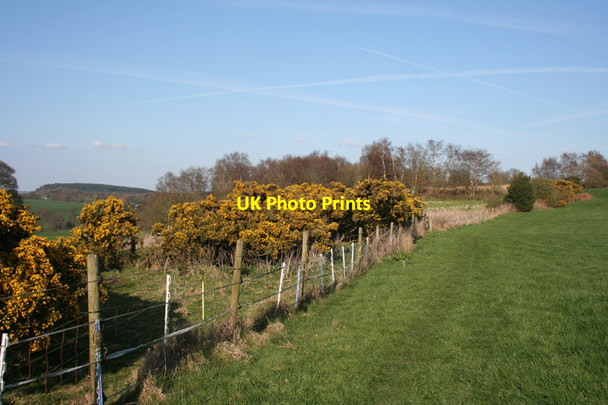 Photo 6"x4" Heath and pasture near Bulkeley Hill Burwardsley c2012