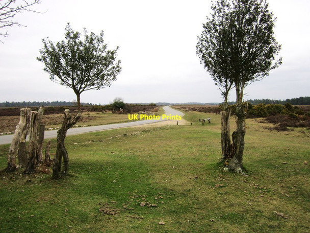 Photo 6"x4" Ocknell Plain Stoney Cross c2012