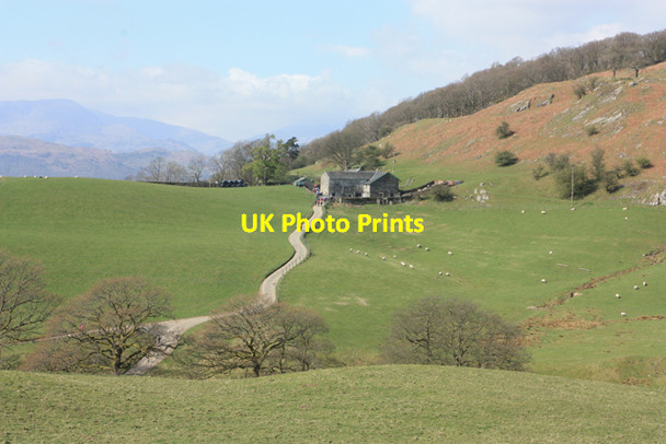 Photo 6"x4" High Skelghyll Ambleside c2012