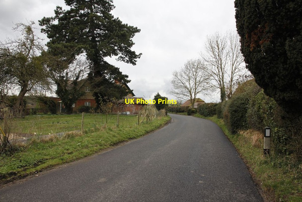 Photo 6"x4" Along the Horsebridge road Bossington\/SU3331 c2012