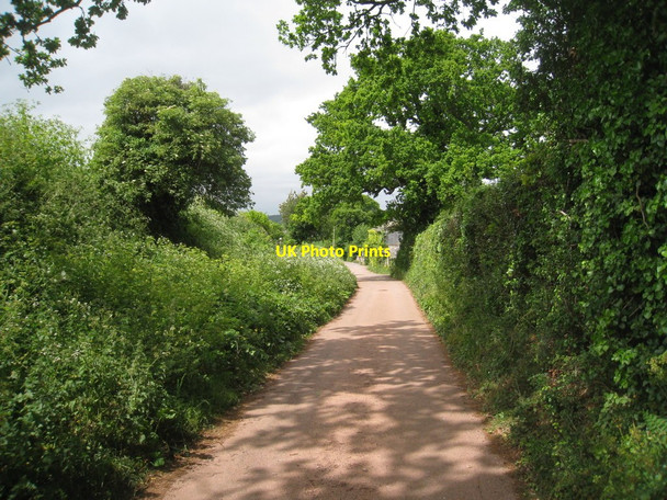 Photo 6"x4" Witcombe Lane South Town\/SX9683 c2011