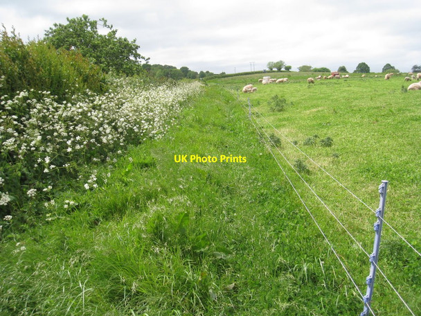 Photo 6"x4" Footpath near Stile Farm Starcross c2011