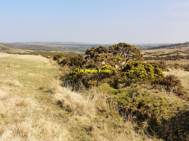 Photo 6"x4" An Old Wall or Bank Postbridge c2012
