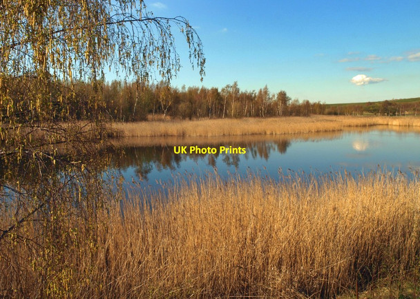 Photo 6"x4" Spring is back after yesterday's snow at RSPB Edderthorpe Cudworth Common\/SE3907 c2012