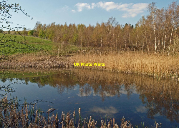 Photo 6"x4" Reflections of Spring at RSPB Edderthorpe Cudworth Common\/SE3907 c2012