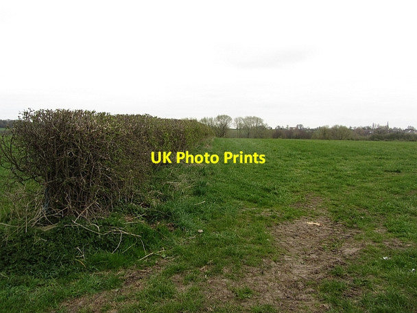 Photo 6"x4" Dry ground off Earles Lane Higher Wincham c2012