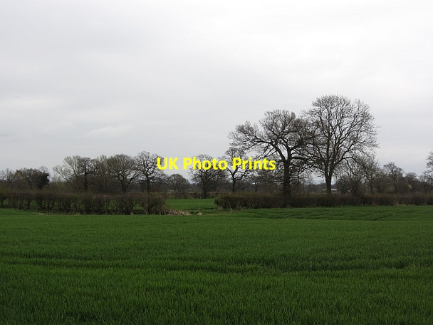 Photo 6"x4" Arable field, Pickmere Pickmere c2012
