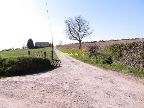 Photo 6"x4" Farm drive and bridle track leading from Imdale Cross Milltown\/J1436 c2012
