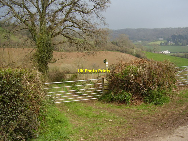 Photo 6"x4" Gate track near Lincombe Cotford c2012