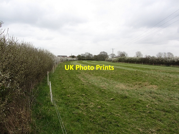 Photo 6"x4" Narrow field, Chilton Trinity Bridgwater c2012