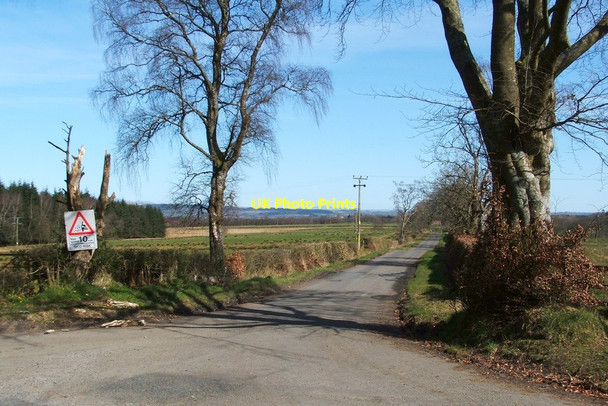 Photo 6"x4" Road to Croftamie Gartocharn c2012