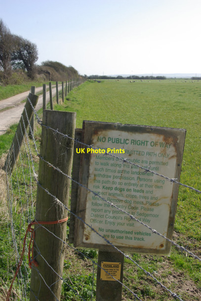 Photo 6"x4" River Parrett Trail Steart\/ST2745 c2012