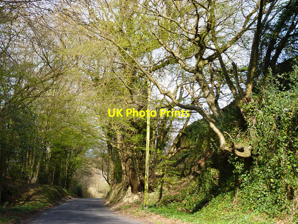 Photo 6"x4" Tidebrook Road Rusher's Cross c2012