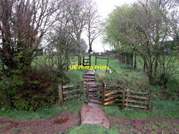 Photo 6"x4" The path at Bleatarn Farm Laversdale c2012