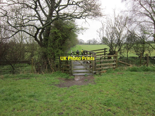 Photo 6"x4" Walking east towards Old Wall Laversdale c2012