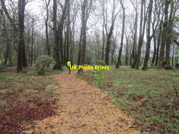Photo 6"x4" Walking towards Walton Walton\/NY5264 c2012
