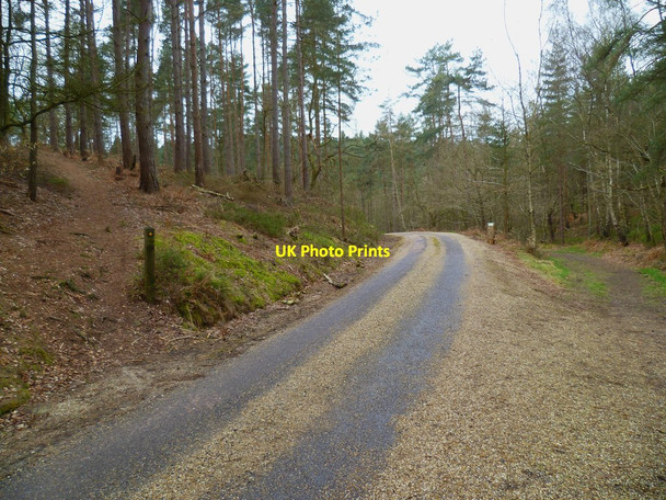 Photo 6"x4" Footpath and bridleway crossing in Winterfold Wood Peaslake c2012