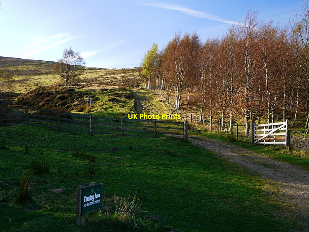 Photo 6"x4" Turning place at end of public road, Langleeford Harthope Burn\/NT9522 c2012