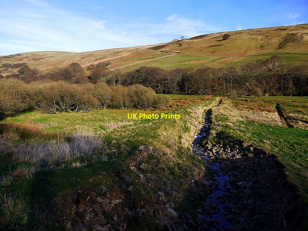 Photo 6"x4" Altered course of New Burn, Langleeford Harthope Burn\/NT9522 c2012