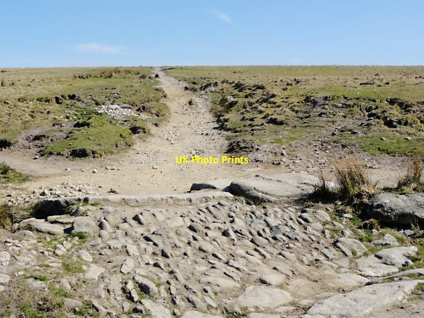 Photo 6"x4" The Track to Eylesbarrow Sheepstor c2012