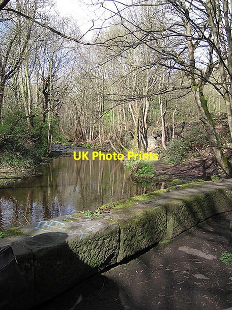 Photo 6"x4" River Loxley at Wisewood Loxley\/SK3089 c2012