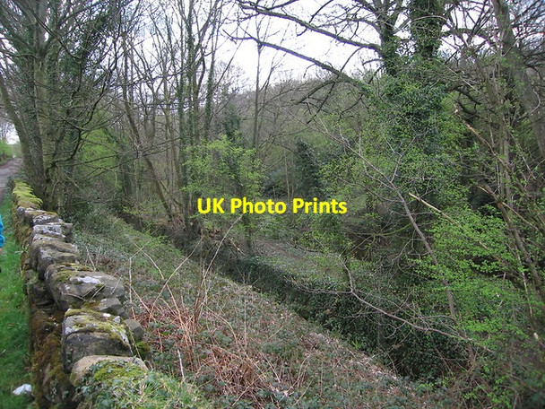 Photo 6"x4" Tailrace of former Olive rolling mill Loxley\/SK3089 c2012