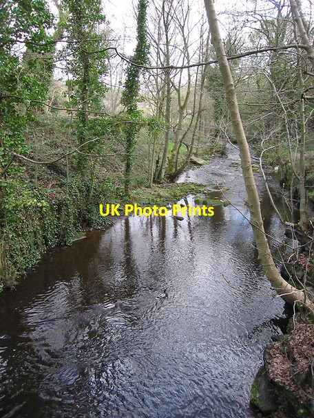 Photo 6"x4" River Loxley adjacent to Olive mill pond Loxley\/SK3089 c2012
