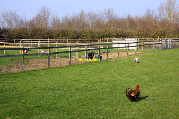 Photo 6"x4" Smallholding by Gallows Bridge Lyford c2012