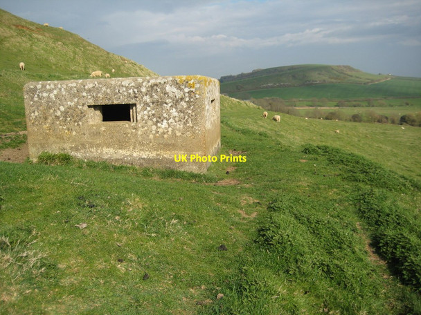 Photo 6"x4" Pill box on Chapel Hill Abbotsbury\/SY5785 c2012