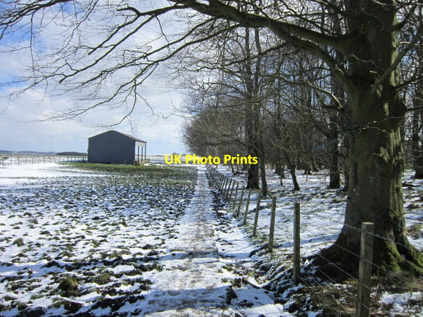 Photo 6"x4" The path to the rear of Carraw Farm Uppertown\/NY8672 c2012